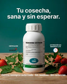 Trichoderma fungicida biológico — cepa chilena certificada