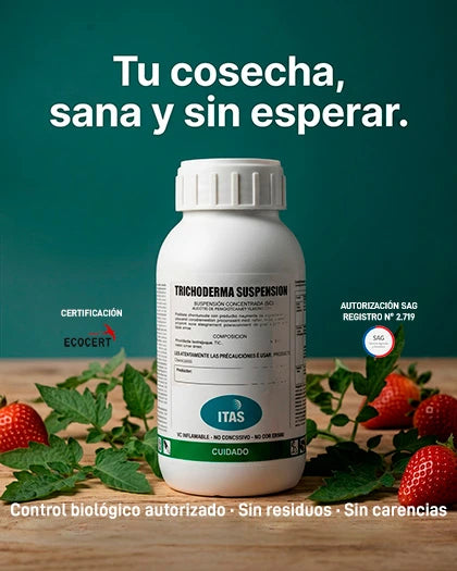 Bioinsumo ITAS certificado SAG