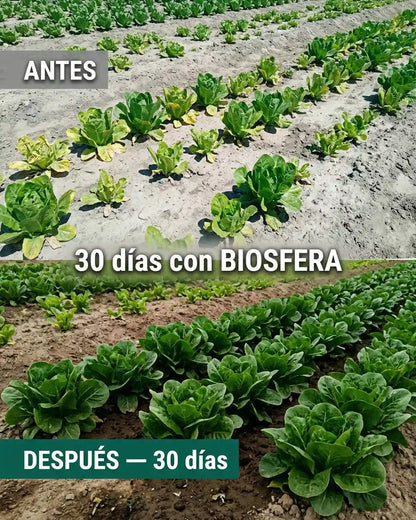 BIOSFERA