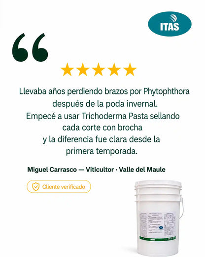 Testimonio de viticultor chileno sobre efectividad de Trichoderma Pasta T3 desde la primera temporada