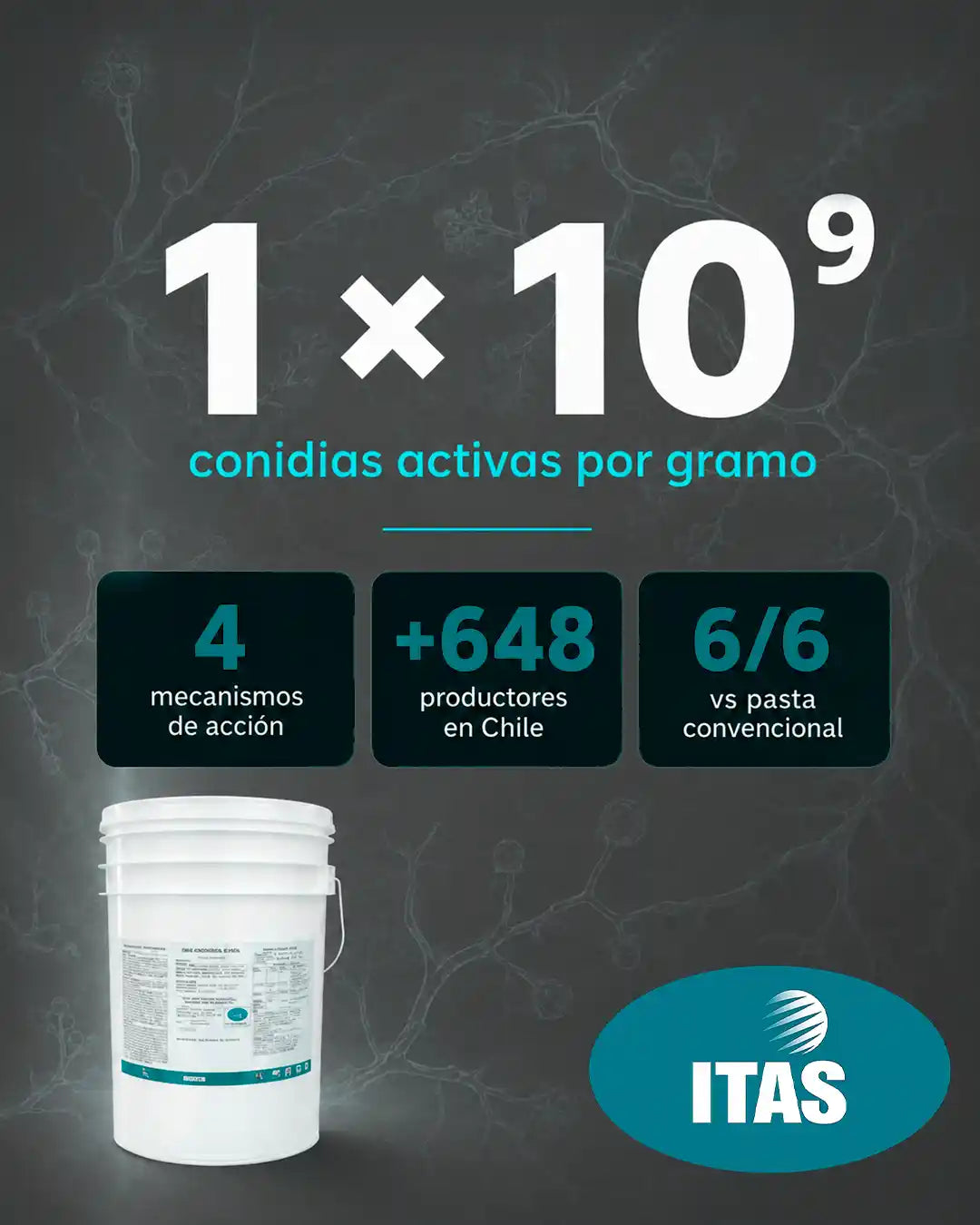 Trichoderma Pasta T3 — 1×10⁹ conidias por gramo y múltiples mecanismos de acción sobre patógenos de poda