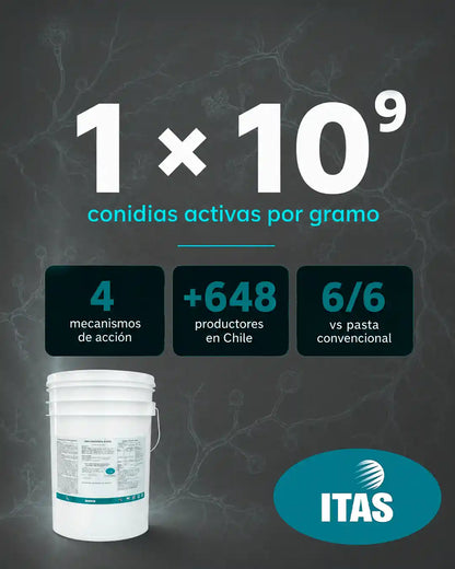 Trichoderma Pasta T3 — 1×10⁹ conidias por gramo y múltiples mecanismos de acción sobre patógenos de poda