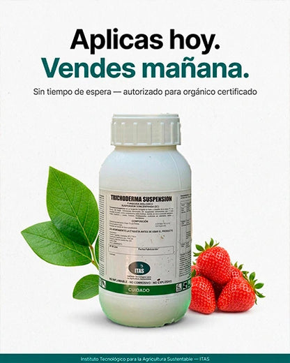 Trichoderma fungicida biológico apto orgánica — aplica y cosecha sin esperar, ECOCERT Chile